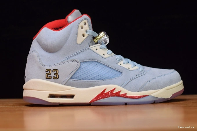Jordan Ice Trophy x CI1899-400 Blue Room Air JSP 5 0801
